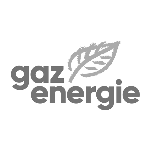 ganz-energie