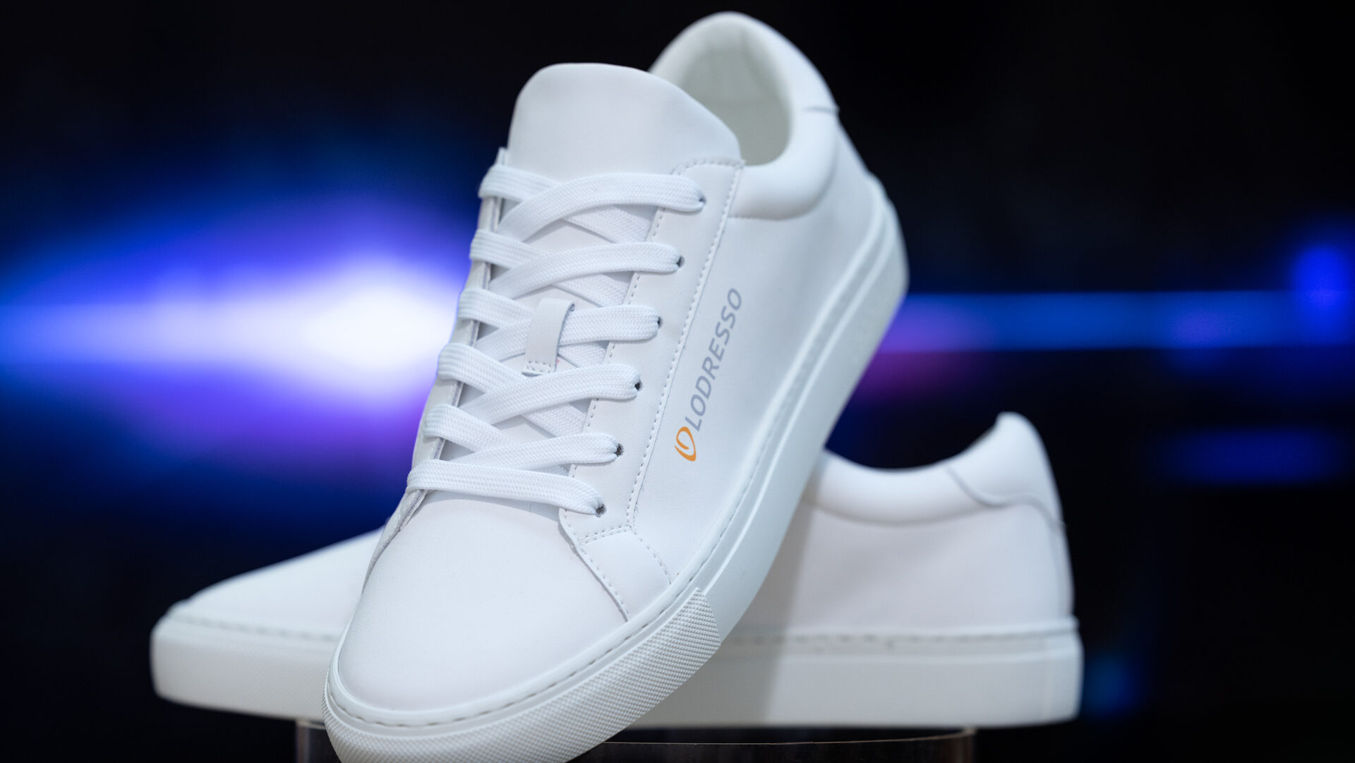 LODRESSO Collage Dynamo